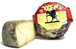 garrotxa-spanish-cheese