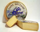 st-nectaire-french-cheese